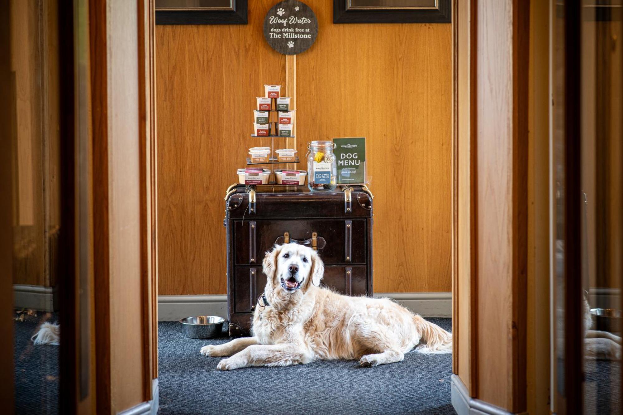 Hotel The Millstone, Mellor Blackburn  Esterno foto The Dog Room